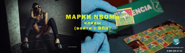 прущие грибы Алзамай