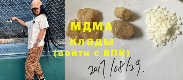 гашик Ельня
