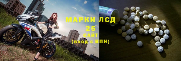 гашик Ельня